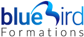 Blue Bird Formations Logo